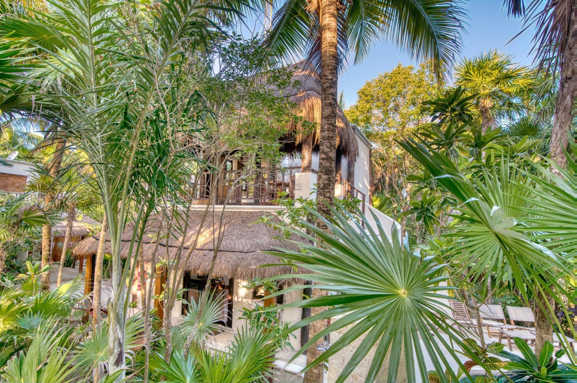 Tulum Luxury Collection Hotel Værelse billede
